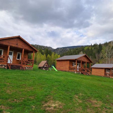 Cabane Areama Neagra Izvoru Mureşului エクステリア 写真