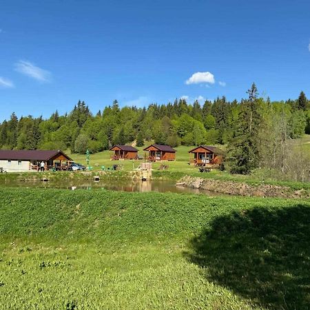 Cabane Areama Neagra Izvoru Mureşului エクステリア 写真