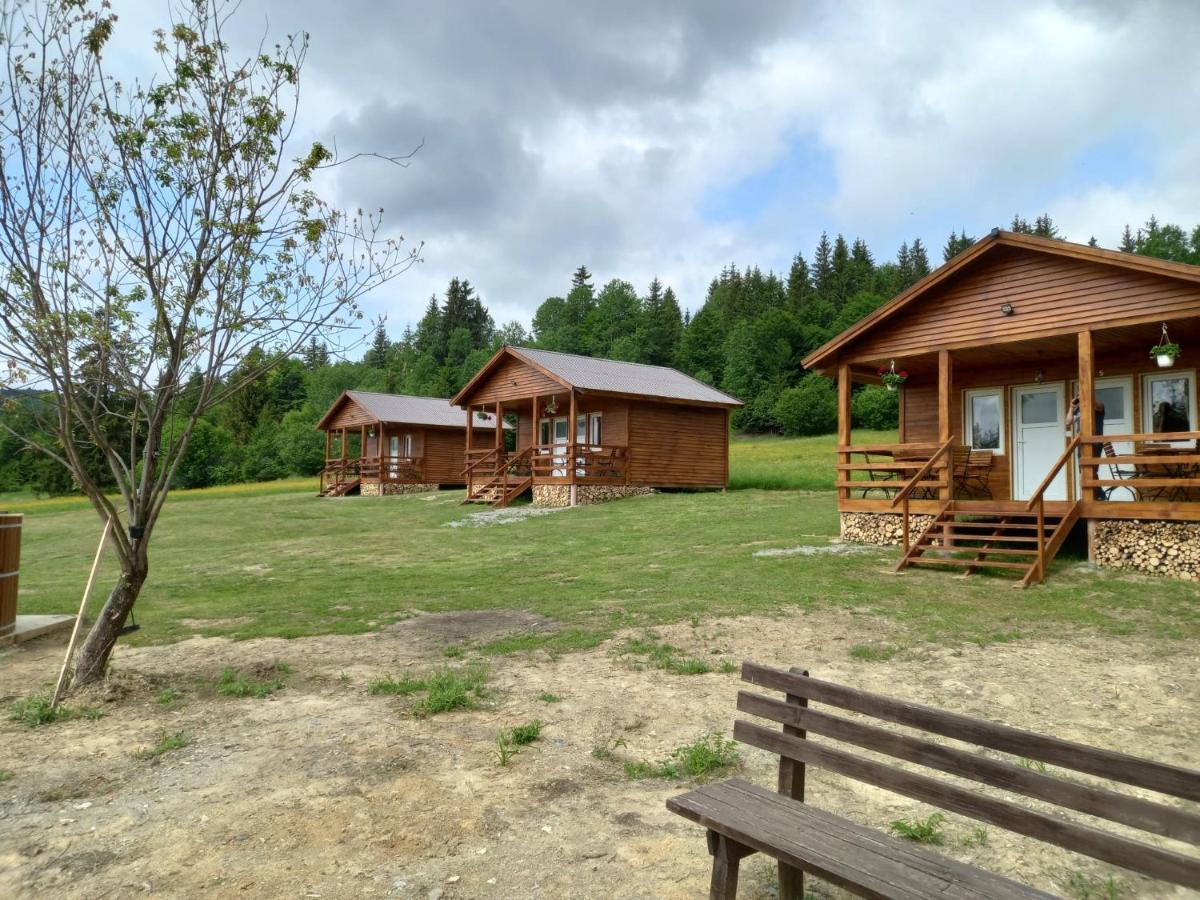 Cabane Areama Neagra Izvoru Mureşului エクステリア 写真