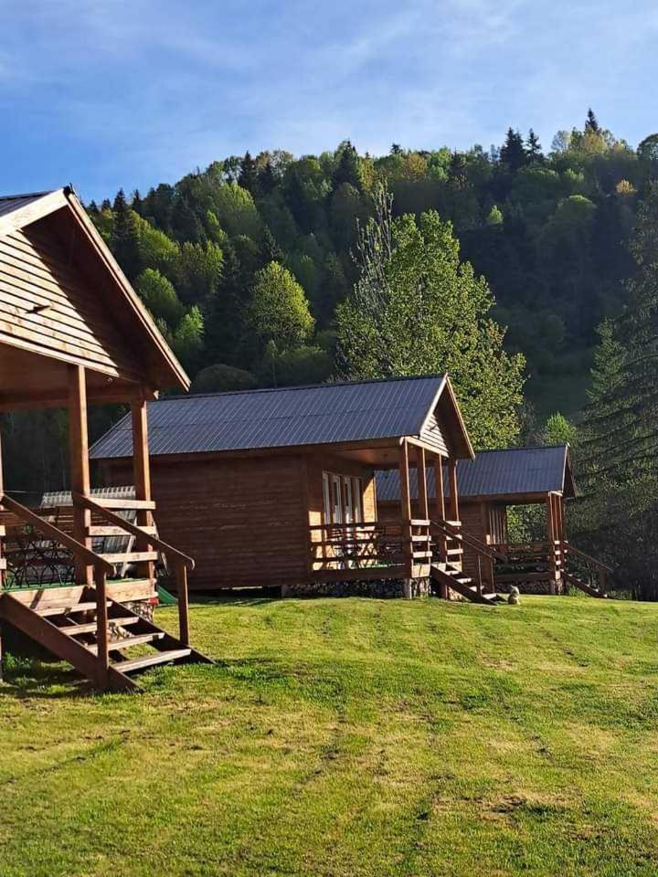 Cabane Areama Neagra Izvoru Mureşului エクステリア 写真