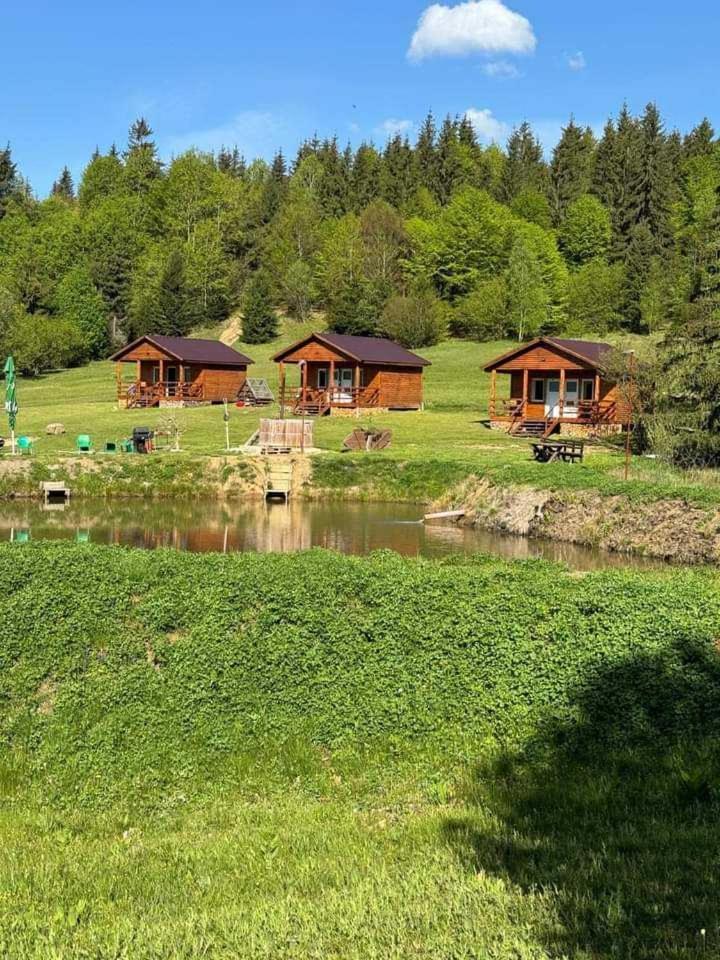 Cabane Areama Neagra Izvoru Mureşului エクステリア 写真