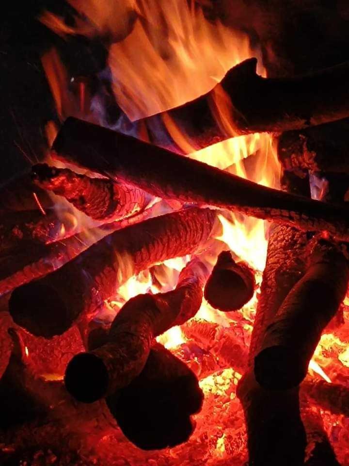 Cabane Areama Neagra Izvoru Mureşului エクステリア 写真